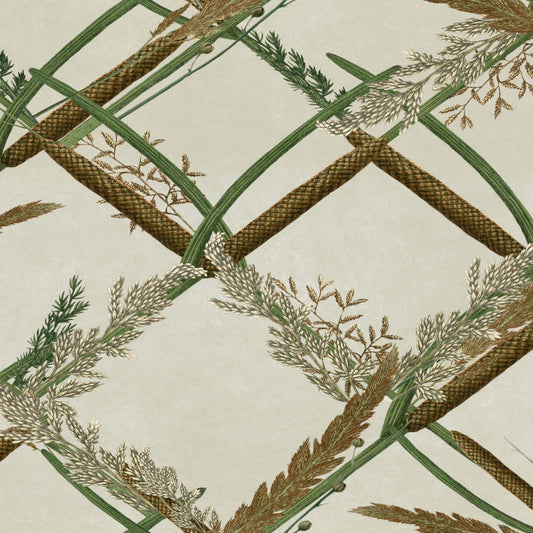 Ornamental Reed