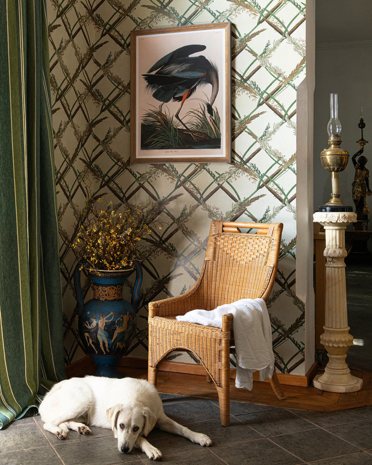 Ornamental Reed Anthracite