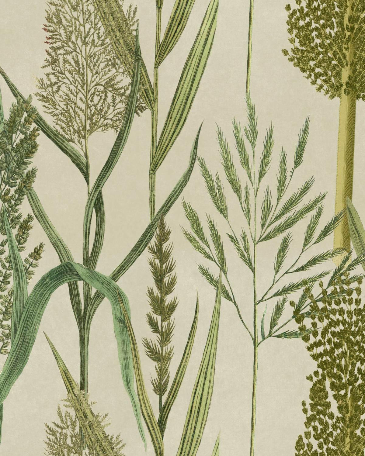 Riverside Flora Taupe